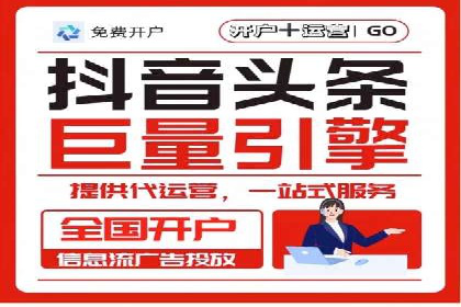 SEM广告案例：数据分析驱动营销决策